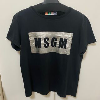 エムエスジイエム(MSGM)のMSGM   ロゴTシャツ　Sサイズ(Tシャツ(半袖/袖なし))