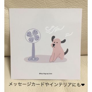 レア✨ メッセージカード インテリアにも❤︎ 風が気持ちいい 犬 人気完売品(キャラクターグッズ)