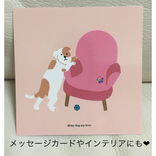 レア✨ メッセージカード インテリアにも❤︎ お気に入りの場所 犬 人気完売品(キャラクターグッズ)