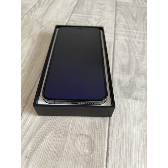 iPhone12Pro 256GB