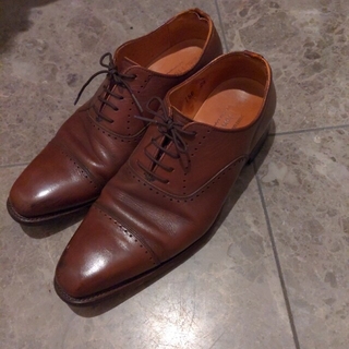 スコッチグレイン　革靴　24cm ブラウン　茶色(ドレス/ビジネス)
