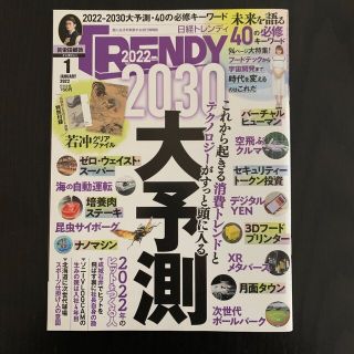 ニッケイビーピー(日経BP)の日経 TRENDY (トレンディ) 2030大予測(その他)