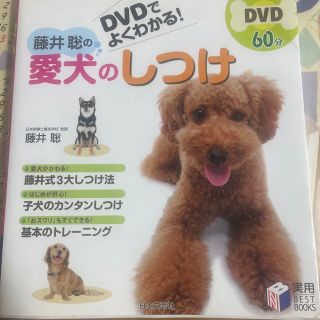 藤井聡の愛犬のしつけ ＤＶＤでよくわかる！(住まい/暮らし/子育て)