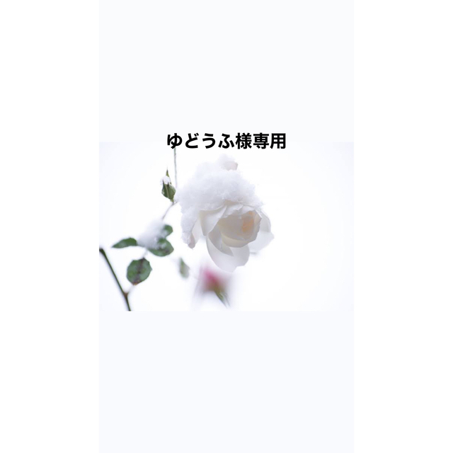 ゆどうふ。様 専用 umbandung.ac.id