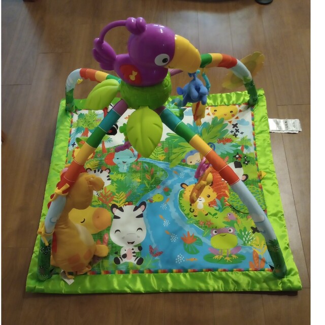 Fisher-Price - mon様専用:フィッシャープライスレインフォレスト