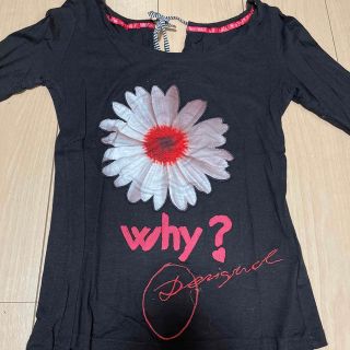 デシグアル(DESIGUAL)のDesigual(テシグアル)バックリボンロゴ刺繍ロングスリーブカットソー(カットソー(長袖/七分))