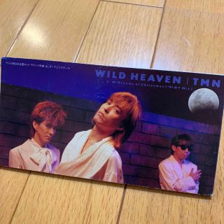 ソニー(SONY)のTM NETWORK WILD heaven 1991年(ポップス/ロック(邦楽))