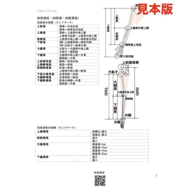 【PT・OT実習】評価マニュアルブック・ポケットマニュアル【セット販売】 エンタメ/ホビーの本(語学/参考書)の商品写真