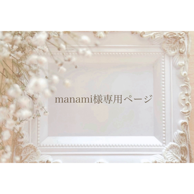 manami様専用ページ その他のその他(オーダーメイド)の商品写真