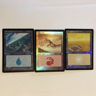 マジックザギャザリング(マジック：ザ・ギャザリング)の土地カード　foil(シングルカード)