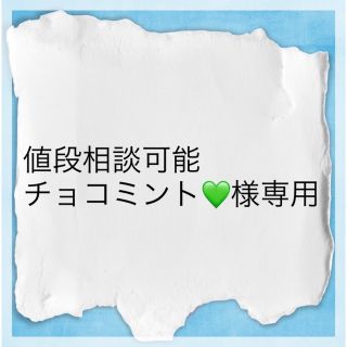 セブンティーン(SEVENTEEN)の値段相談可能チョコミント💚様専用(キャラクターグッズ)