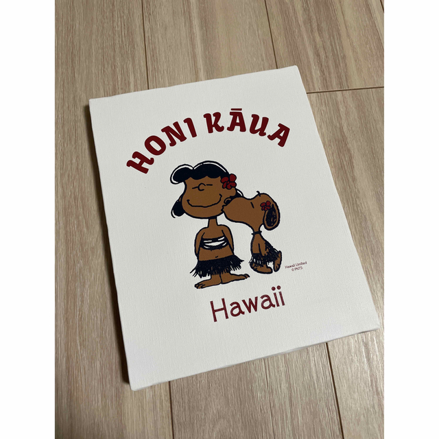 海外製 MONI HONOLULU モニホノルルの日焼けスヌーピー キャンバス