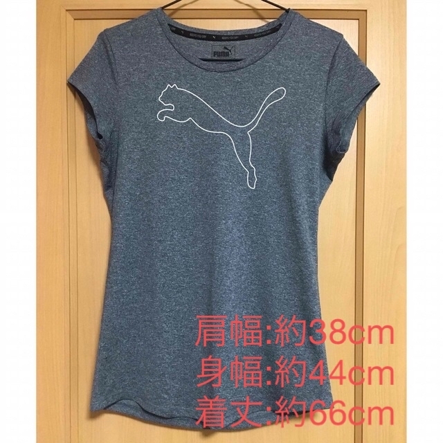 PUMA(プーマ)のPUMA✨プーマ✨Tシャツ スポーツ/アウトドアのランニング(ウェア)の商品写真