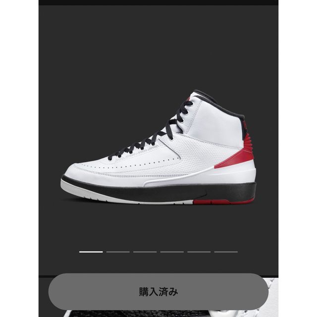 Nike Air Jordan 2 Chicago ジョーダン2 シカゴ　28