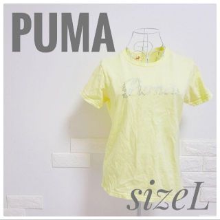 プーマ(PUMA)のPUMAプーマ レディース プリントTシャツ Lサイズ(Tシャツ(半袖/袖なし))