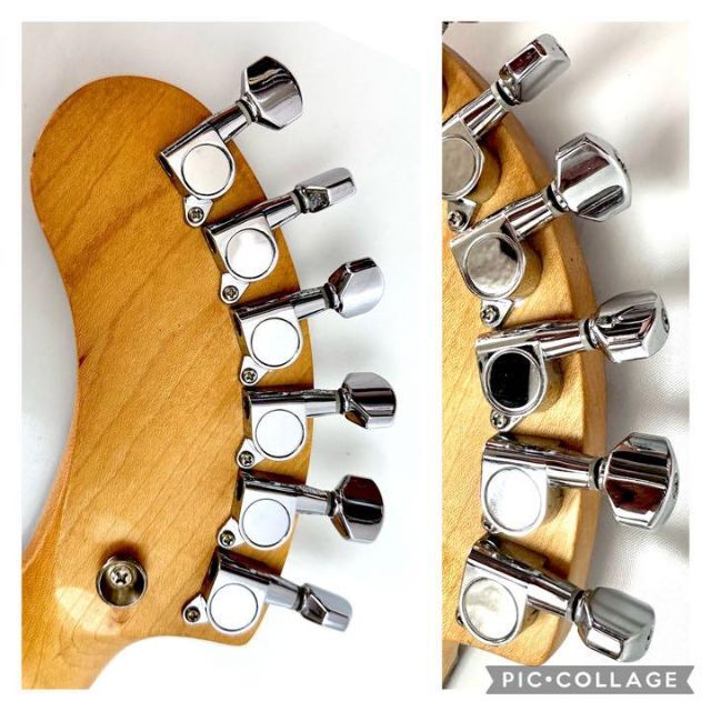 正規通販】 Fernandes. Digi-ZO ソフトケース付き abamedyc.com