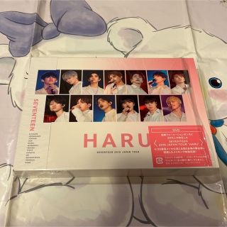 火 中古 トレカなし DVD HARU seventeen