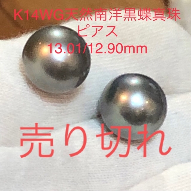 K14WG 天然南洋黒蝶真珠ピアス　13.01/12.90mm