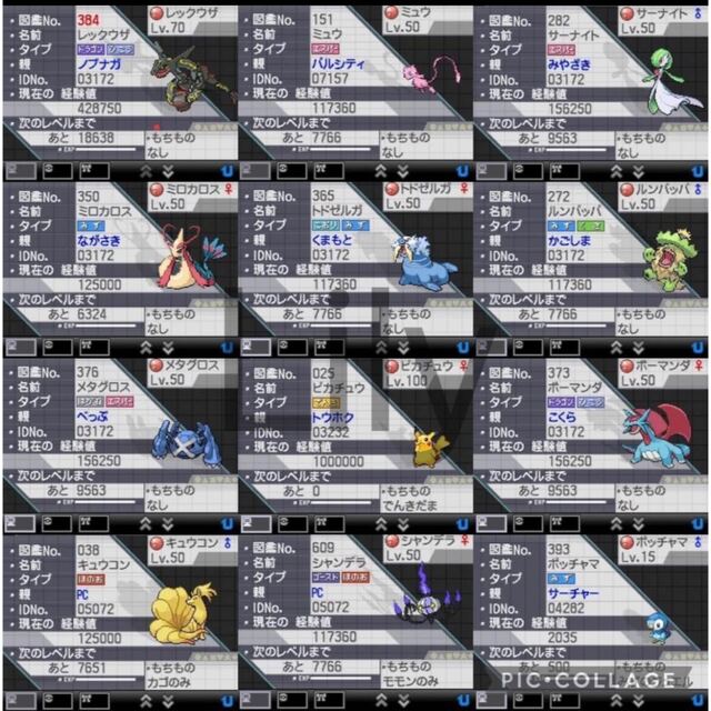 【ポケモン】ブラック 配信 6vメタモン付き 道具完備 ポケットモンスター エンタメ/ホビーのゲームソフト/ゲーム機本体(携帯用ゲームソフト)の商品写真