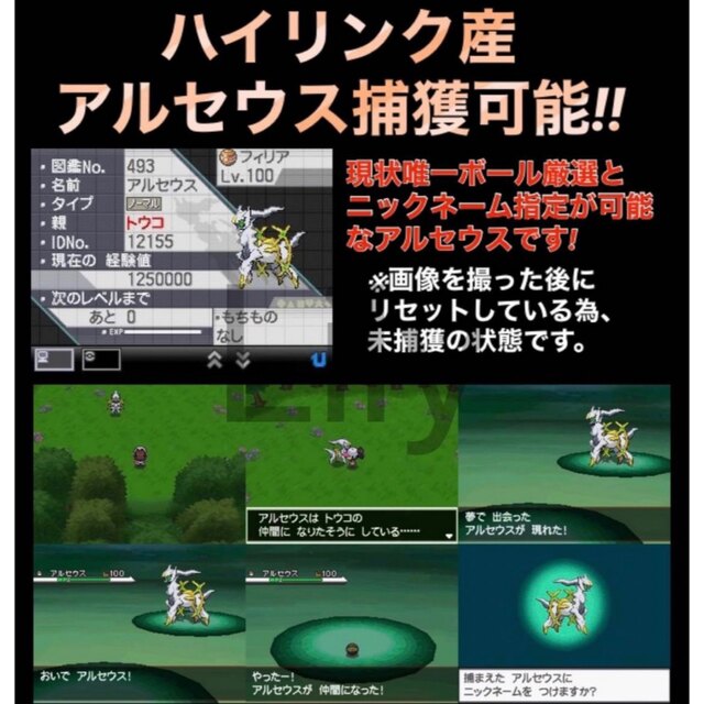 ポケモン】ブラック 配信 6vメタモン付き 道具完備 ポケットモンスター