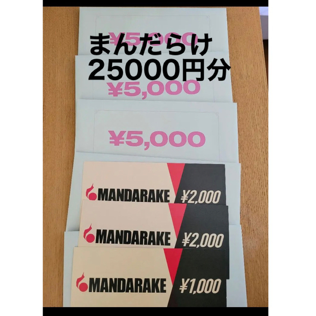 まんだらけ 株主優待券 25,000円 有効期限2023.12.31 【新発売】 www ...