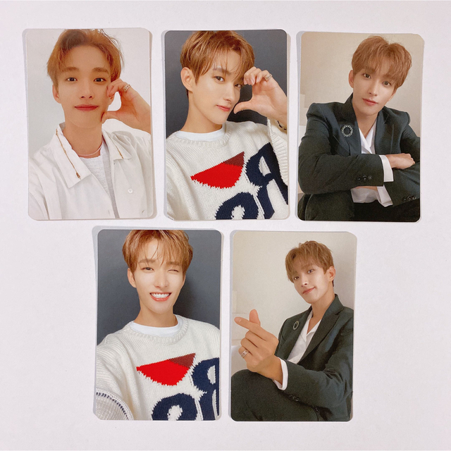 SEVENTEEN セブチ 舞い落ちる花びら ドギョム トレカ セット エンタメ
