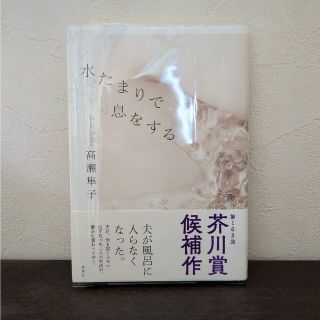 水たまりで息をする(文学/小説)