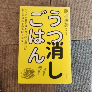 うつ消しごはん タンパク質と鉄をたっぷり摂れば心と体はみるみる軽く(その他)