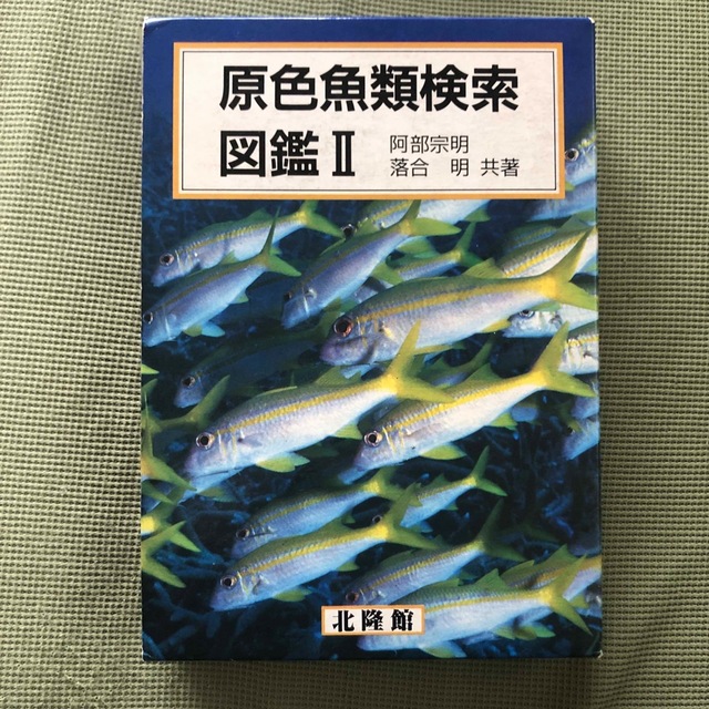 原色魚類検索図鑑2 北隆館 エンタメ/ホビーの本(科学/技術)の商品写真