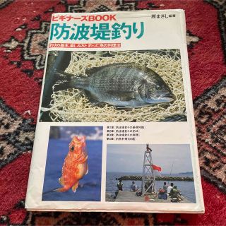 防波堤釣り 釣りの基本、楽しみ方と釣った魚の料理法(料理/グルメ)