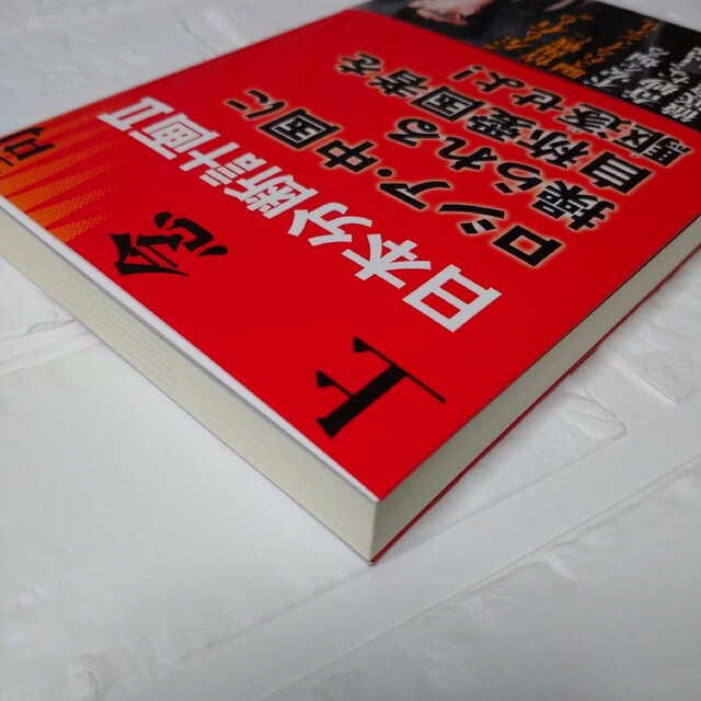 日本分断計画Ⅱ ロシア・中国に操られる自称愛国者を駆逐せよ!　上念司 エンタメ/ホビーの本(人文/社会)の商品写真