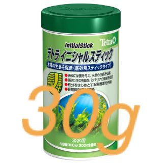 テトラ(Tetra)のテトラ　イニシャルスティック　30g(アクアリウム)