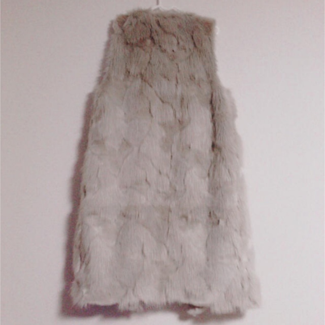 dholic(ディーホリック)のDHOLIC ロングファーベスト レディースのジャケット/アウター(毛皮/ファーコート)の商品写真