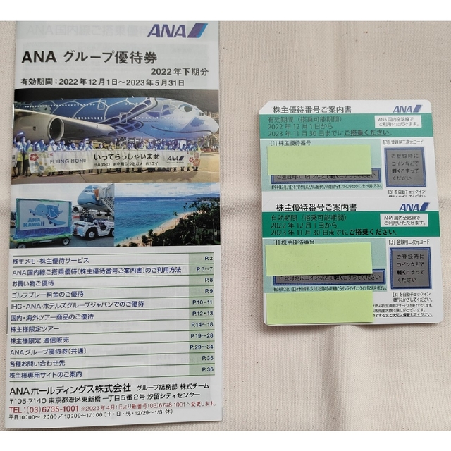 ANA(全日本空輸)(エーエヌエー(ゼンニッポンクウユ))のANA株主優待券2枚 ＋ ANAグループ優待券 チケットの優待券/割引券(その他)の商品写真