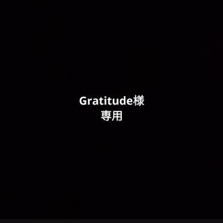 Gratitude様専用(その他)