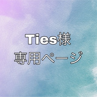 Ties様 専用ページ(ポップス/ロック(邦楽))