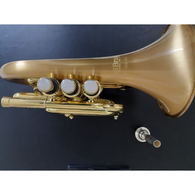 CAROL BRASS N3000GLS (キャロルブラスポケットトランペット) CAROL BRASS N3000GLS (キャロルブラスポケットトランペット)