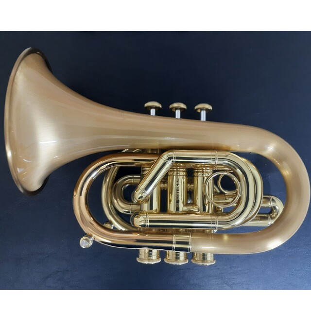 CAROL BRASS N3000GLS (キャロルブラスポケットトランペット) CAROL BRASS N3000GLS (キャロルブラスポケットトランペット)