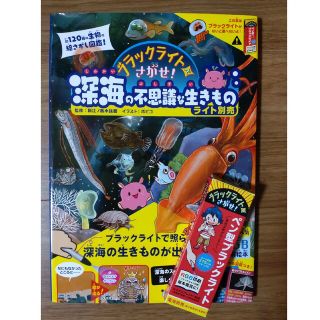 〔ライト別売〕ブラックライトでさがせ！深海の不思議な生きもの 見えない絵があらわ(絵本/児童書)