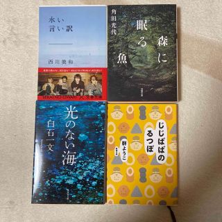 「光のない海」「森に眠る魚」など4冊(その他)