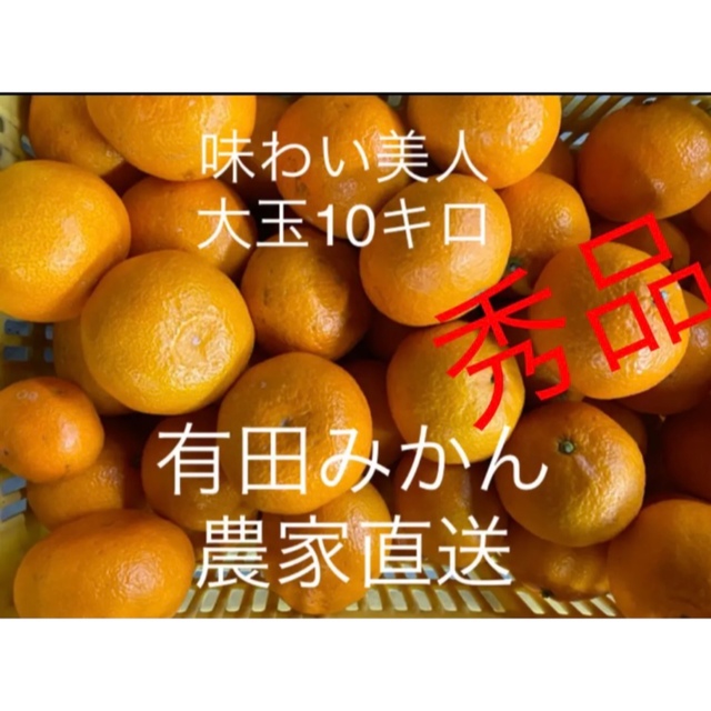 有田みかん農家直送🌟味わい美人大玉秀品箱込み10キロ 食品/飲料/酒の食品(フルーツ)の商品写真