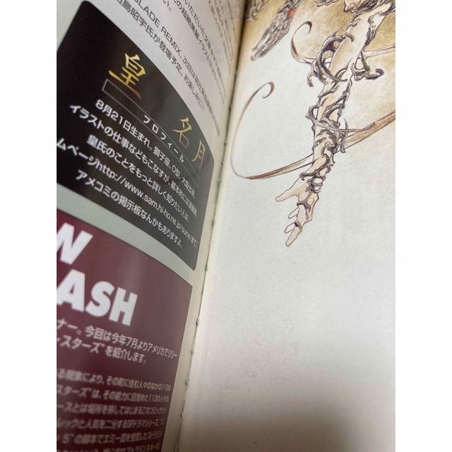 ＷＩＴＣＨＢＬＡＤＥ　日本語版  ウィッチブレイド エンタメ/ホビーの漫画(青年漫画)の商品写真