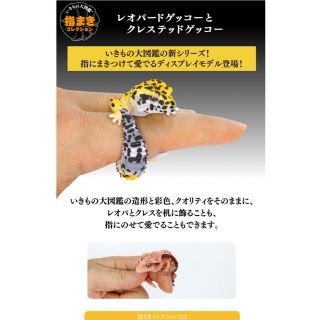 指巻きコレクション 生きもの大図鑑 (その他)