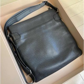 LOUIS VUITTON - Louis Vuitton Sathya タイガ ショルダーバッグの通販