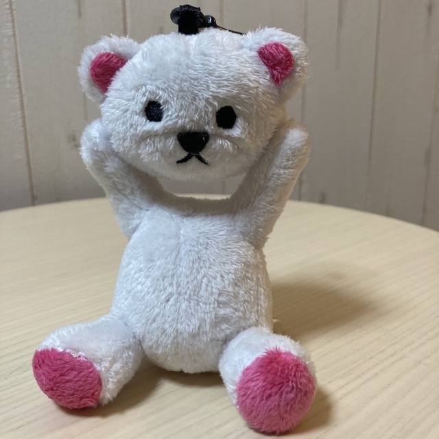 白いクマのぬいぐるみ エンタメ/ホビーのおもちゃ/ぬいぐるみ(ぬいぐるみ)の商品写真