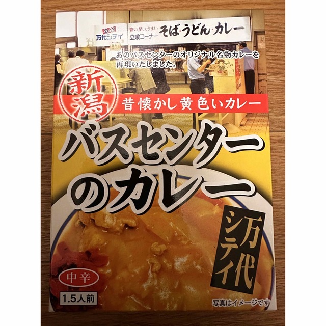 バスセンターのカレー　1個 食品/飲料/酒の加工食品(レトルト食品)の商品写真