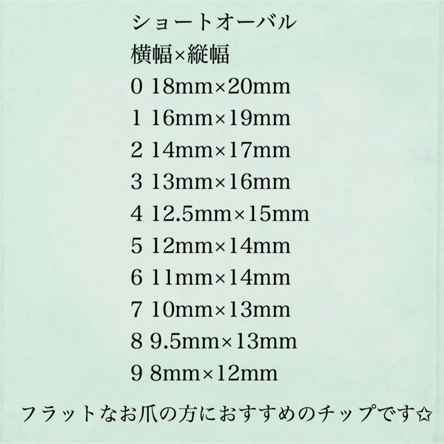 せておりま チップの種類、サイズ測定、専用ページの通販 by Nicorin