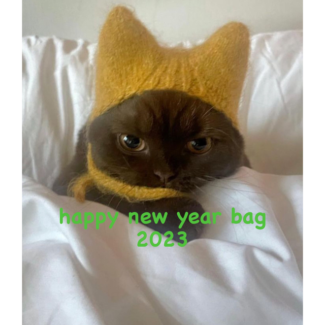 happy new year bag 2023!