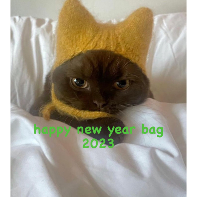 happy new year bag 2023!レディース