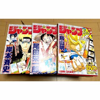 激レア 非売品 ワンピース ONE PIECE 週間少年ジャンプ 2010年懸賞